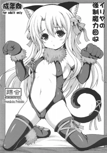 Read [Dowarukofu] Illya no Kyousei Maryoku Kaishuu - Fhentai