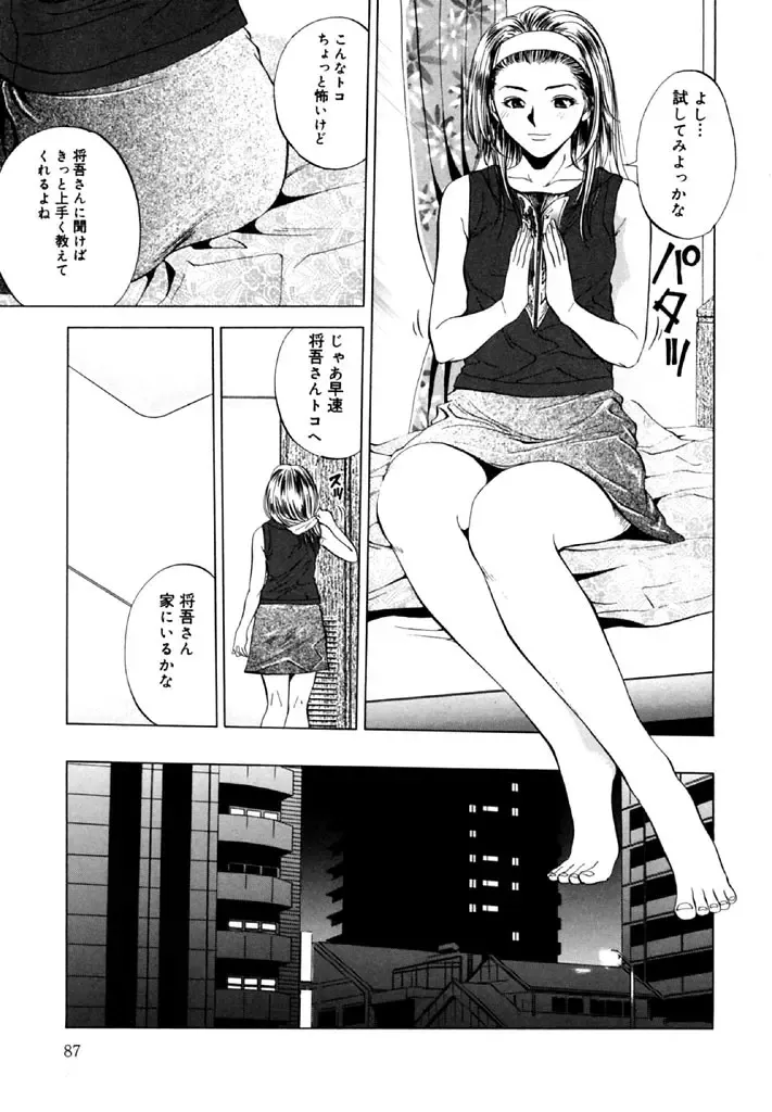 [Yuuki Ryo] Topaz Fhentai - Page 87