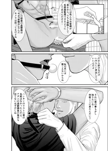 [Raitei] Second Fhentai - Page 20