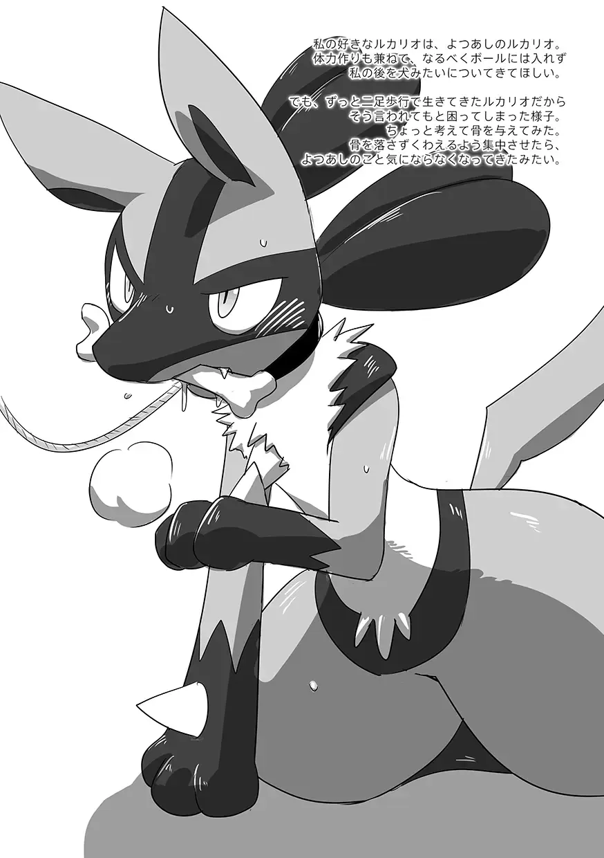 [Kurohane Karasu] Lucario Training Book「How to Train Your~」 Fhentai - Page 2