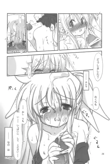 [Ajoea] Natsu no Ajoa no Goaisatsu Fhentai - Page 26