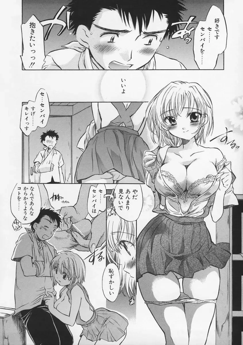 [James Hotate - Takahashi Kurumi] Junjyou Chitai Fhentai - Page 31