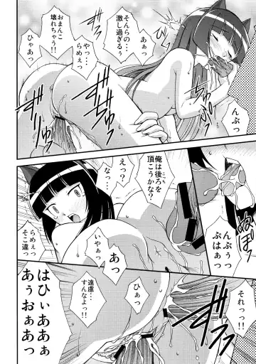 [Ayanokouji Haruka] Kuronekokan -BLACK CAT PAVILION- Fhentai - Page 16