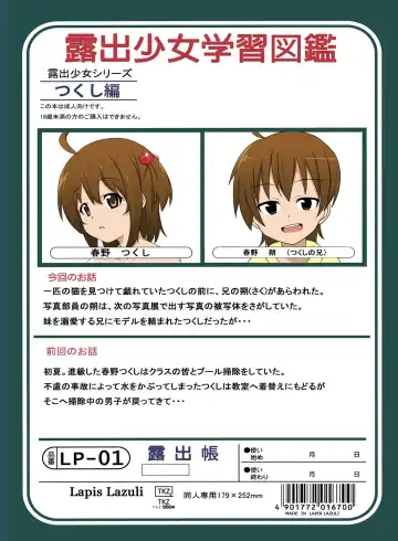 [Tukazi] Roshutsu Shoujo Gakushuuchou 3-jikanme Fhentai - Page 18