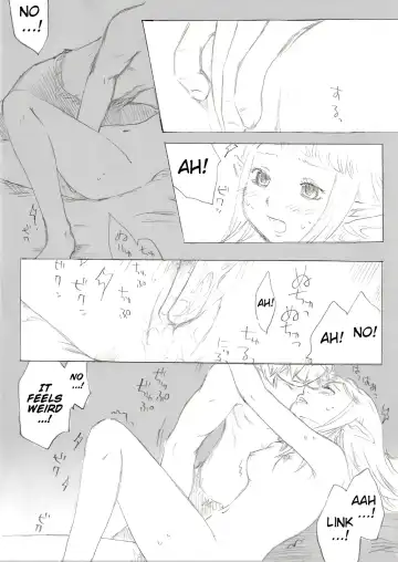 [Buthikireta] Link to Zelda no... | I promise, I will become a knight to protect you Fhentai - Page 21