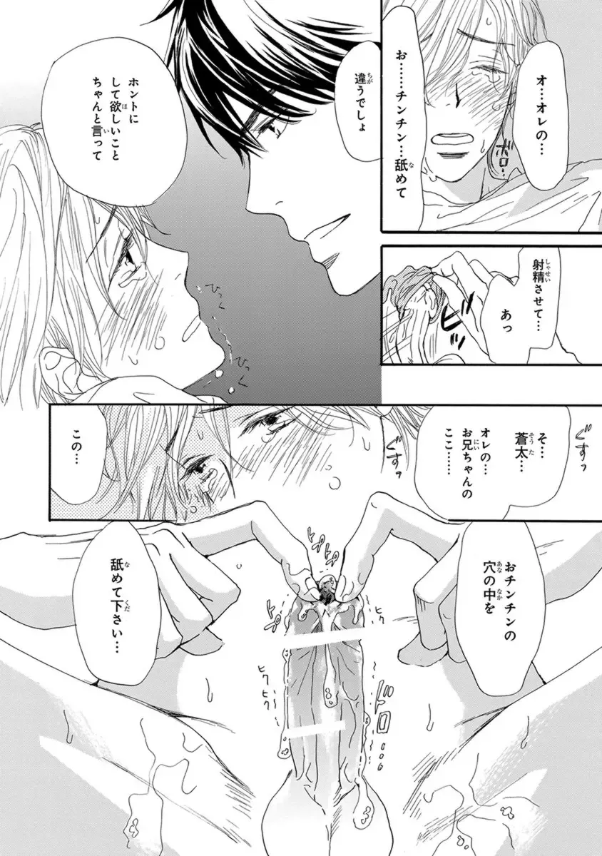 [Takaku Shouko] Ore wa Kawaii Otouto to Fhentai - Page 10