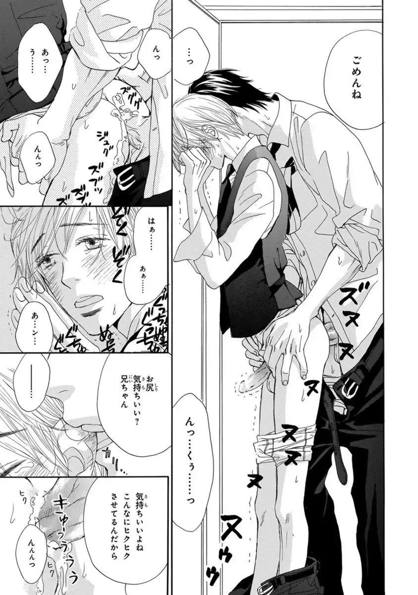 [Takaku Shouko] Ore wa Kawaii Otouto to Fhentai - Page 19