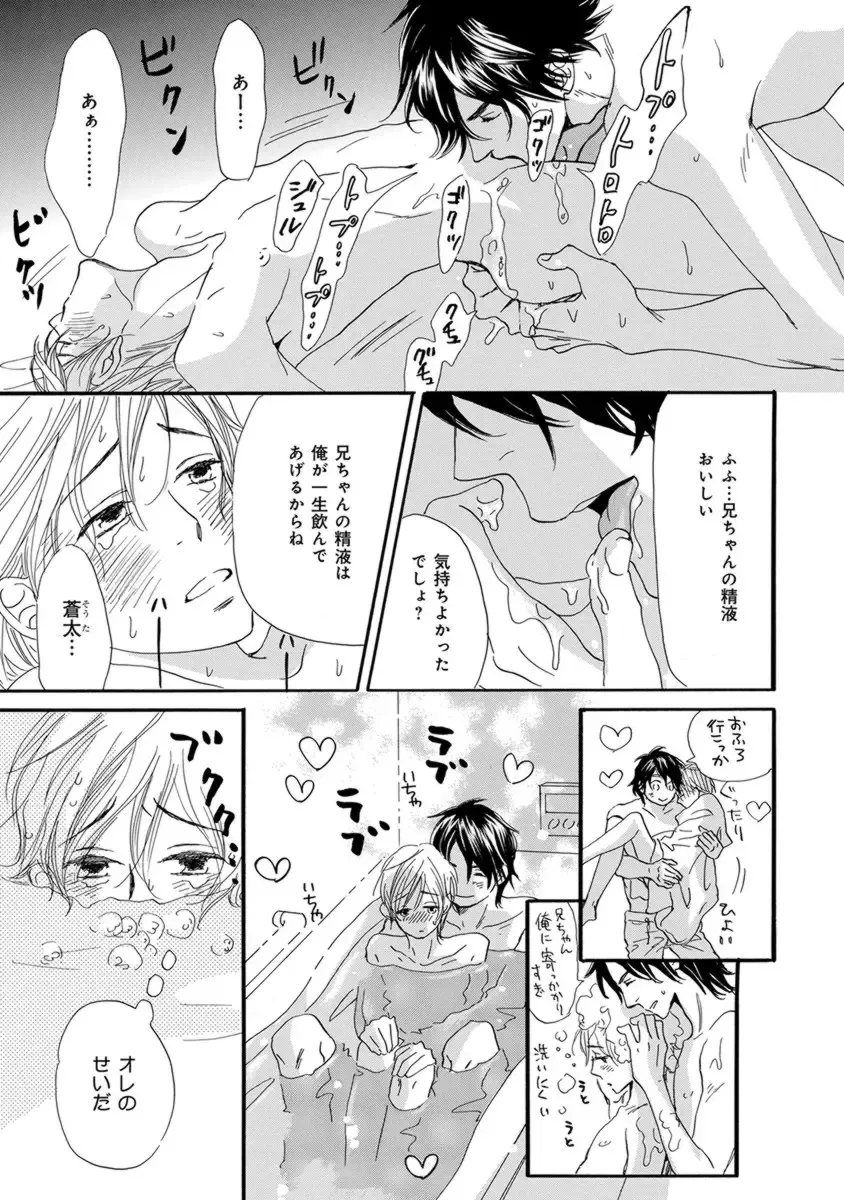 [Takaku Shouko] Ore wa Kawaii Otouto to Fhentai - Page 39