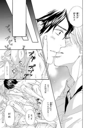 [Takaku Shouko] Ore wa Kawaii Otouto to Fhentai - Page 29