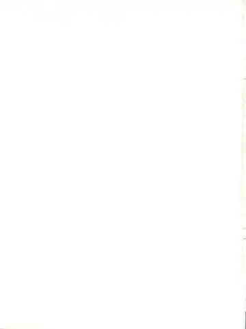 [Chiba Dirou] Plane Vol. 00 Fhentai - Page 19