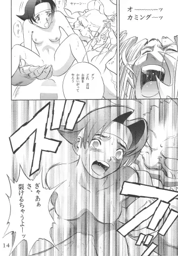 [Hayabusa - Hidemaru] Kouchijou Fhentai - Page 13