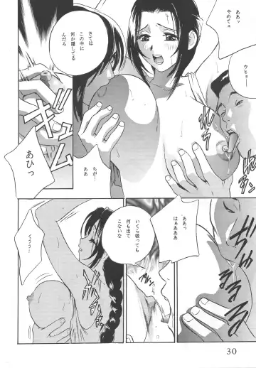 [Hayabusa - Hidemaru] Kouchijou Fhentai - Page 29