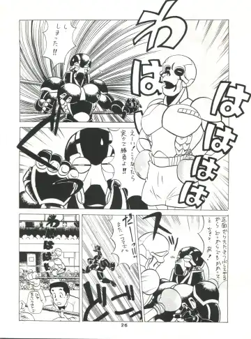SAMPLE Vol. 4 Fhentai - Page 25