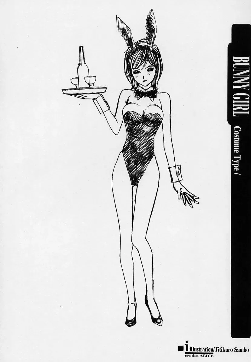 sexceed ver. ex C+ Fhentai - Page 11