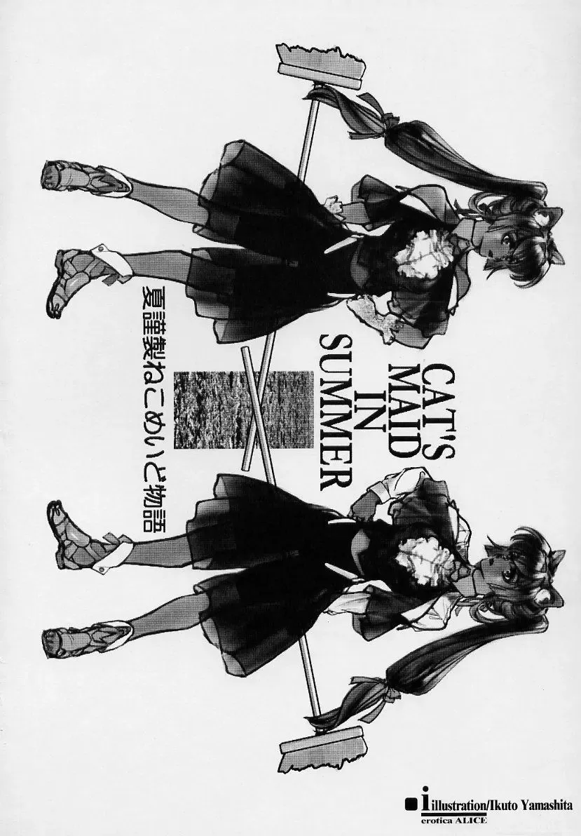 sexceed ver. ex C+ Fhentai - Page 5