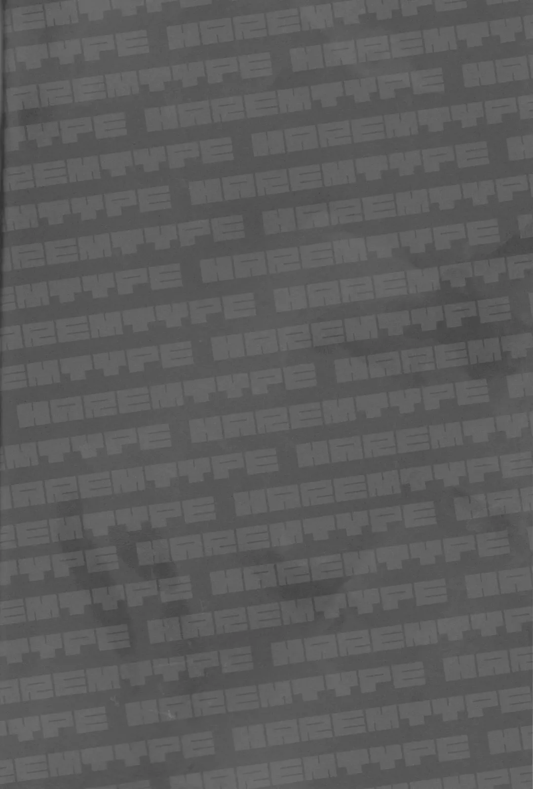 [Unikura] Harem Type ~Chouki o Motazu Shite Nani ga Ou ka~ Fhentai - Page 3