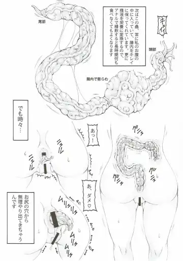 [Izumi Yuujiro] Japunika Inchuuchou Fhentai - Page 13