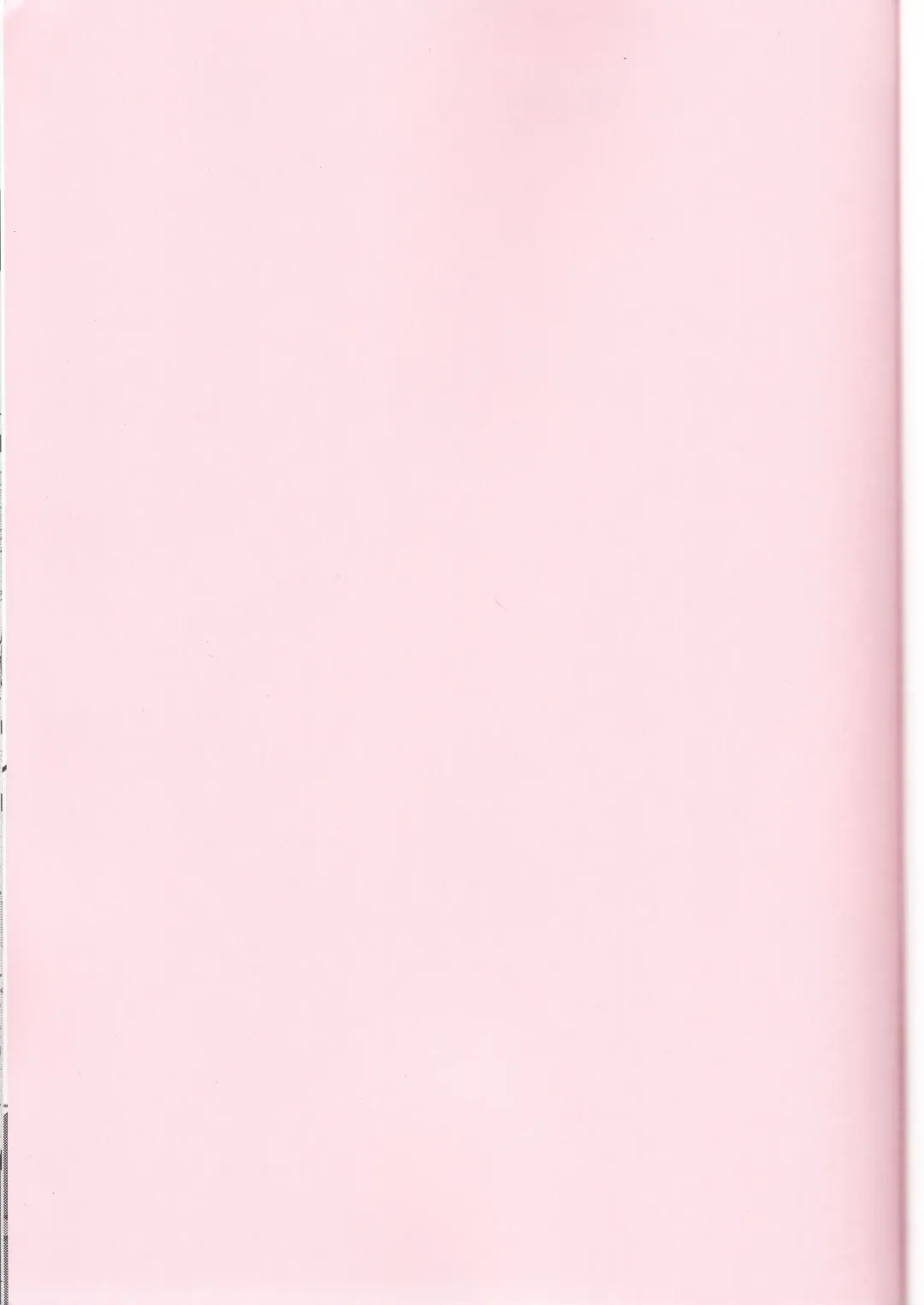 [Santa] Mahou Shoujo Saimin PakopaCause Fhentai - Page 2