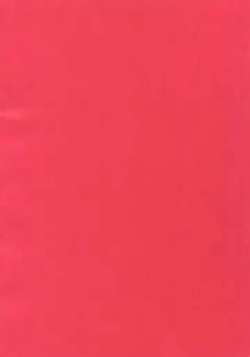 [Inuyashiki] Pillow Talk mo Oko Nomi de Fhentai - Page 2