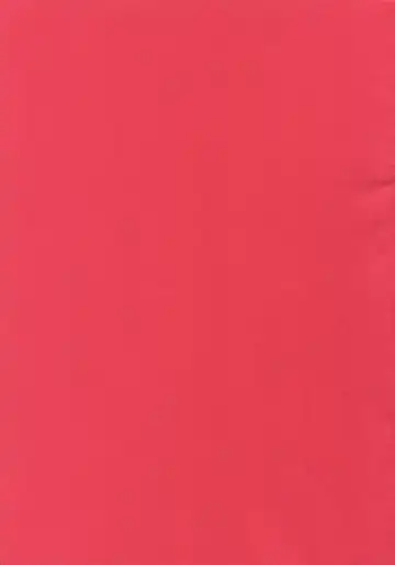 [Inuyashiki] Pillow Talk mo Oko Nomi de Fhentai - Page 31