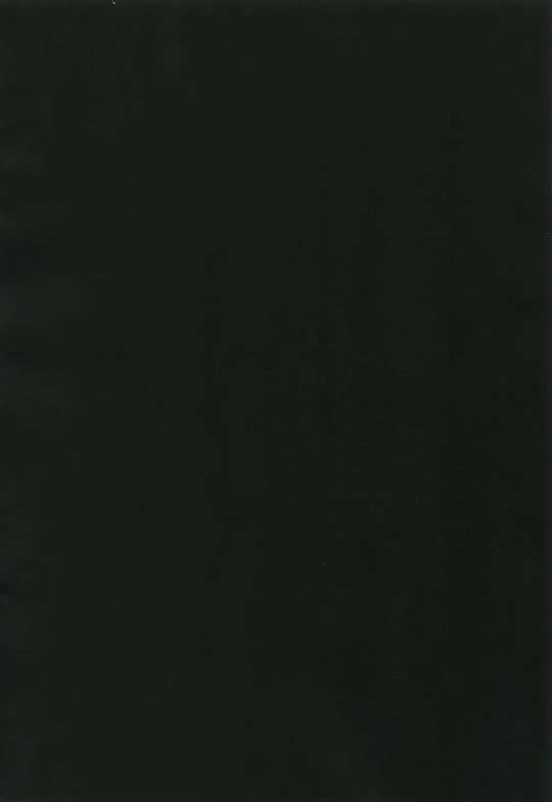 [Inuyashiki] Otogari Adonis Gekini AV Fhentai - Page 23