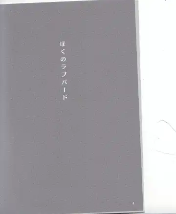 [Leko] Boku no Love Bird Fhentai - Page 3