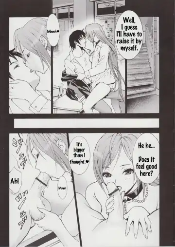 [Asagi Yoshimitsu] Winters Sturm Fhentai - Page 5