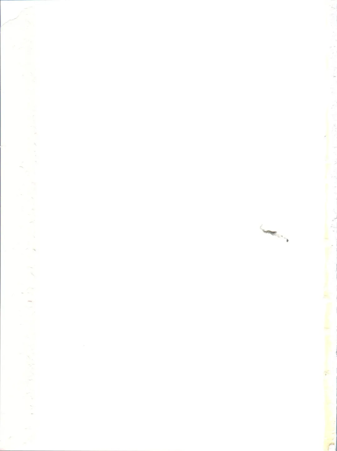 [Locon] Naburi no Kyoushitsu Fhentai - Page 206