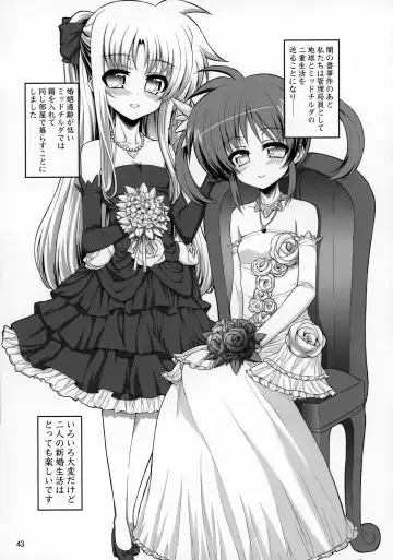 [Alpha Alf Layla] Futanari NanoFei Soushuuhen Fhentai - Page 43