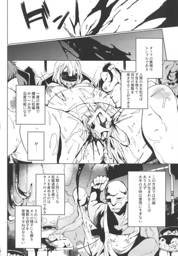 [Kawaisaw] Orc no Ohime-sama wa Ranshi ga Tsuyosugiru Fhentai - Page 8