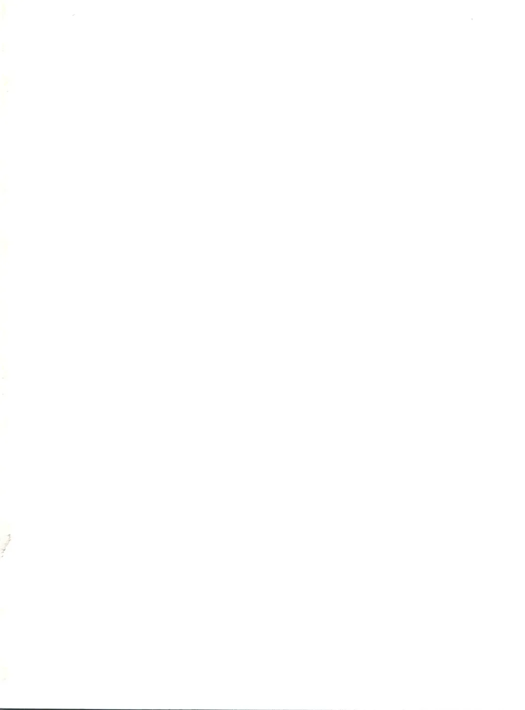 [Aikou Arata - Hikaru Sayoko - Nishitsuki Tsutomu] MS Nyan Nyan Fhentai - Page 2