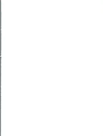 [J.sairo] Shinseiki Evangelion Te Yuuka Omedetou Muumin Fhentai - Page 2