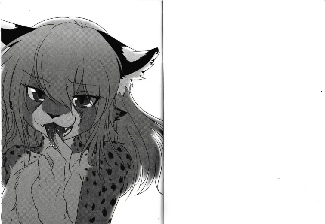 [Urekemo Lala] Cat & Dragon 3 Fhentai - Page 2