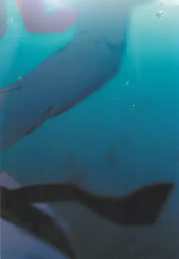 [Fuzai Yumoto] MAYDAY Fhentai - Page 37