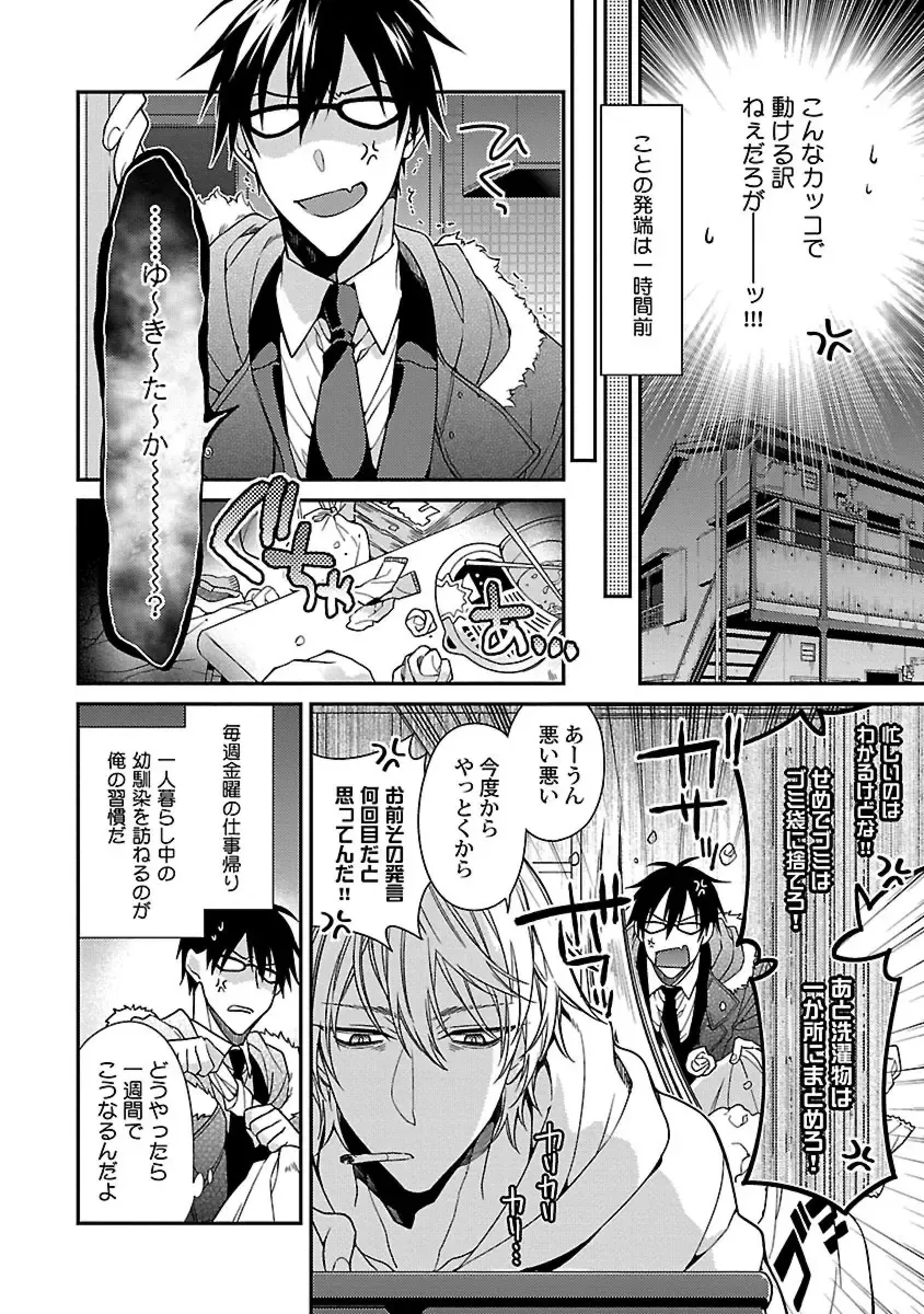 [Kirishiki Tokico] Ore no Kirai na Tsugaisama Fhentai - Page 88