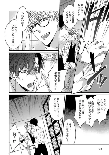 [Kirishiki Tokico] Ore no Kirai na Tsugaisama Fhentai - Page 24