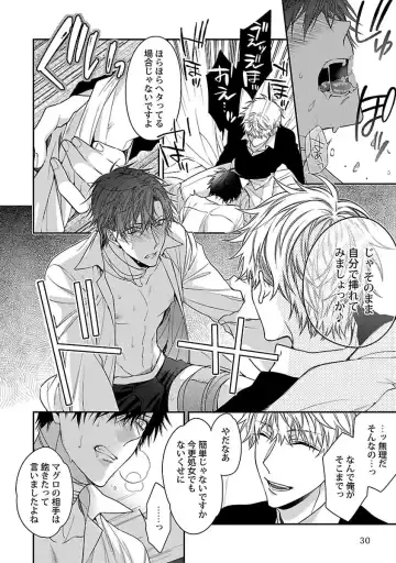 [Kirishiki Tokico] Ore no Kirai na Tsugaisama Fhentai - Page 32