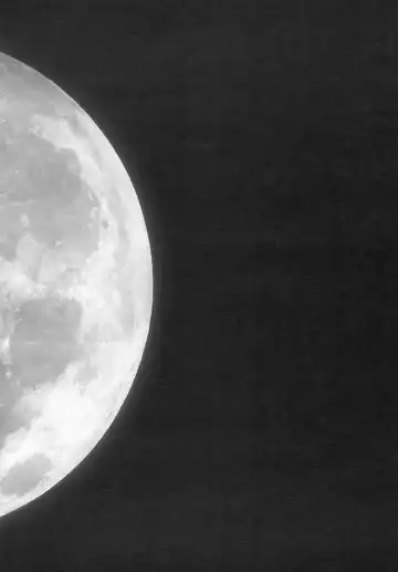 [Imizu] Remilia Ojou-sama no Bonnou Fhentai - Page 9