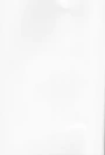 [Bell] Natsu to Sora to Kimi to Fhentai - Page 2