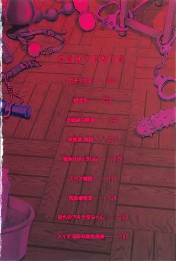 [Type.90] Kachiku Ane Ch. 1-2 Fhentai - Page 5