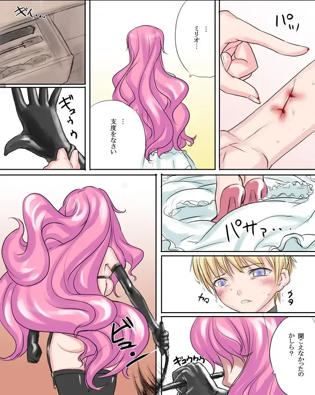 [Nanashi] Elizabeth Hime Fhentai - Page 5