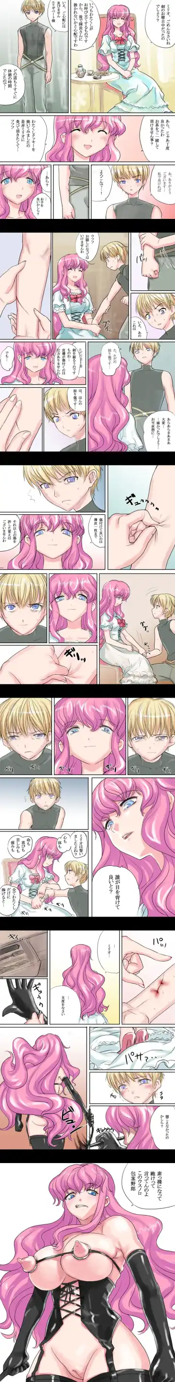 [Nanashi] Elizabeth Hime Fhentai - Page 12