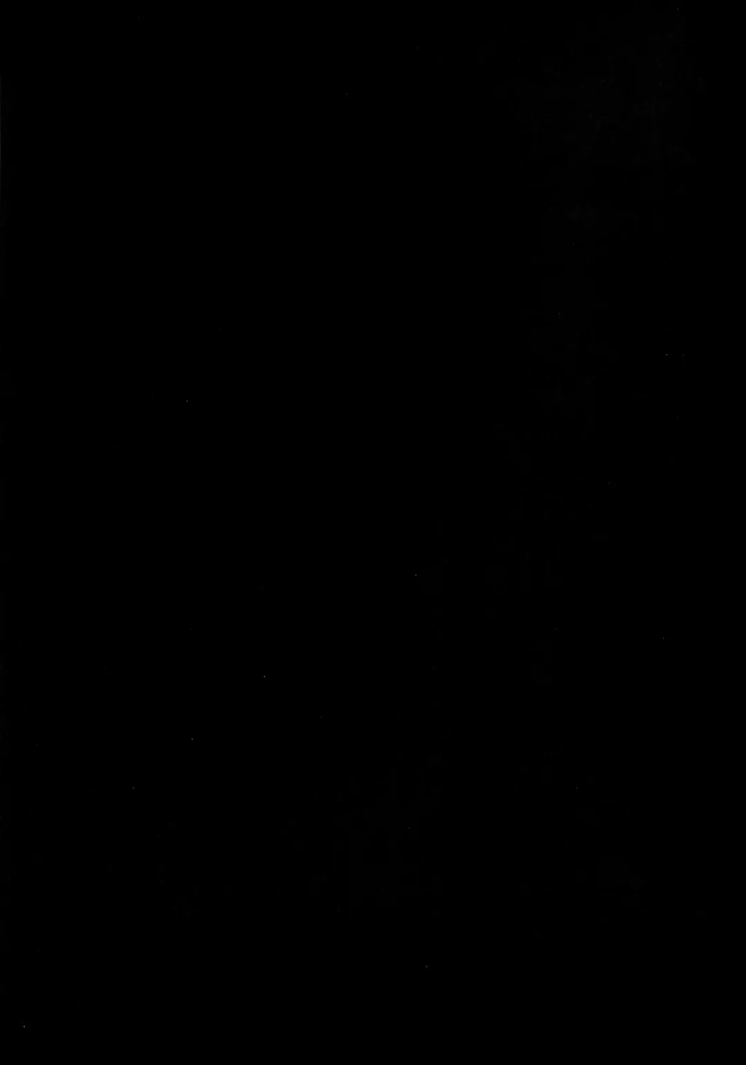 [Yamada Shuutarou] 065 Fhentai - Page 2