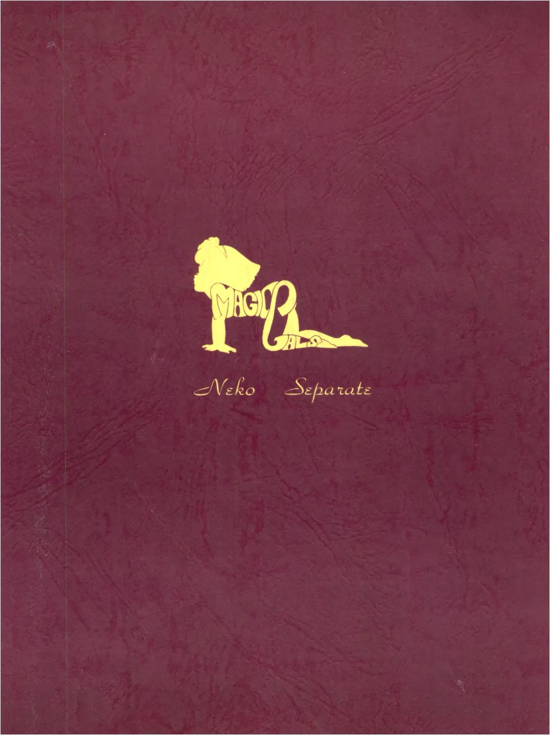 Magic Gals V Fhentai - Page 100