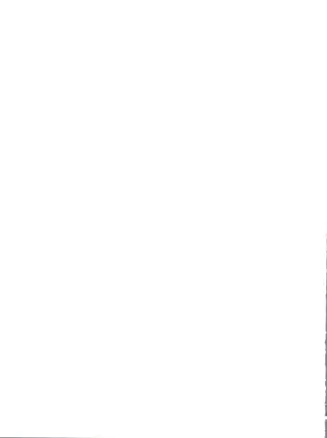 T.C. Virgo Fhentai - Page 87