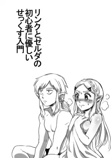 Read [Wasabi] Link to Zelda no Shoshinsha ni Yasashii Sex Nyuumon - Fhentai