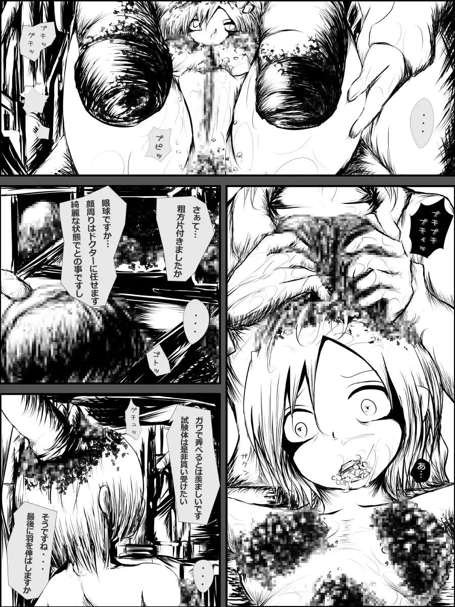 [Mister Ochitsu] Blair ppoi Guro Hon Fhentai - Page 15
