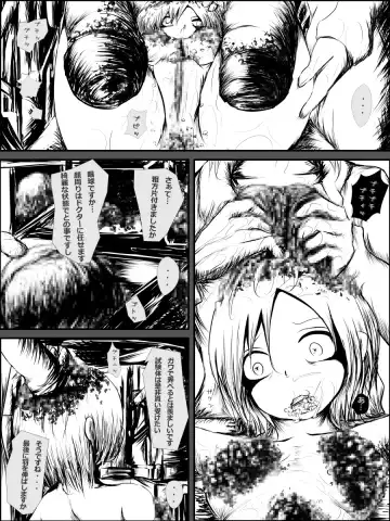[Mister Ochitsu] Blair ppoi Guro Hon Fhentai - Page 15