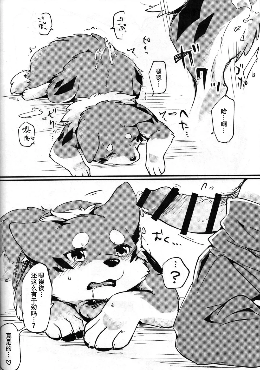 [Minaga Tsukune] Kitsuneinu to Asobo!! | 和狐犬酱一起玩!! Fhentai - Page 11