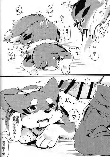 [Minaga Tsukune] Kitsuneinu to Asobo!! | 和狐犬酱一起玩!! Fhentai - Page 11